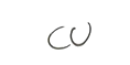 curriculum vitae